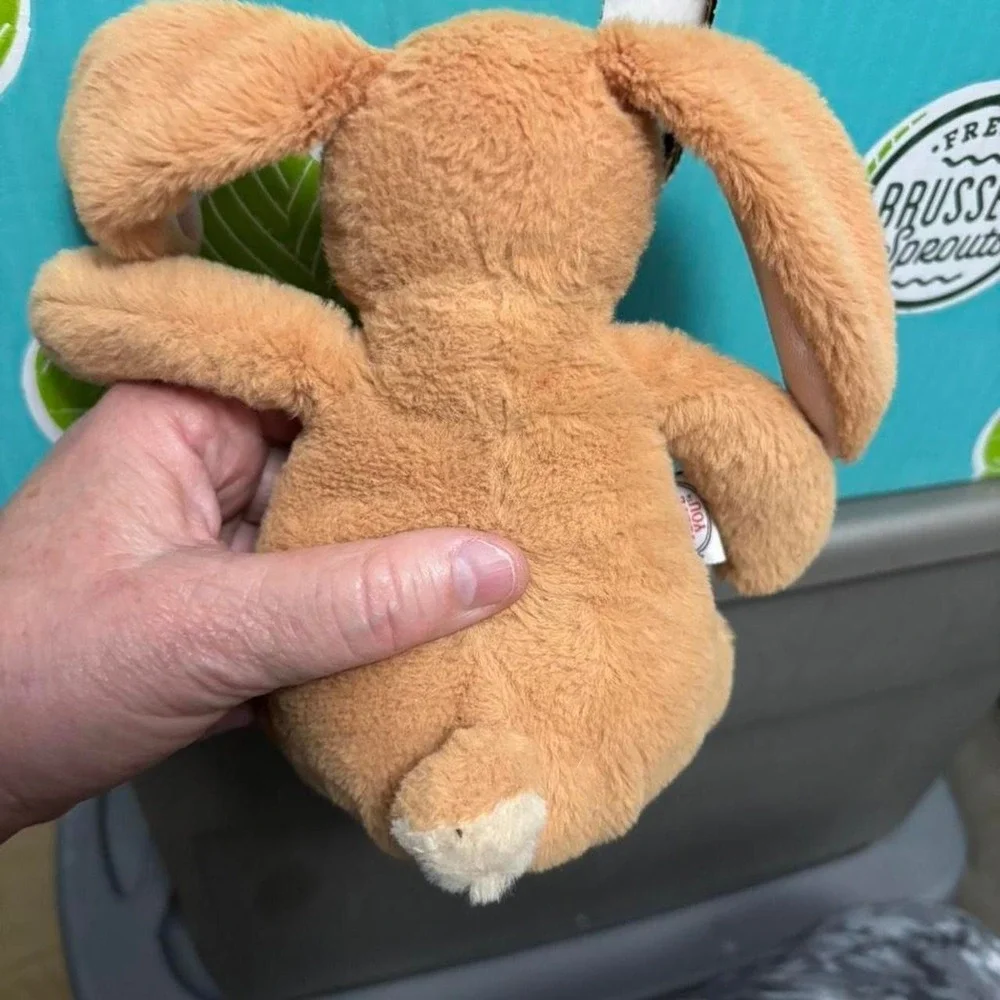 Brown and Tan Bunny Rabbit